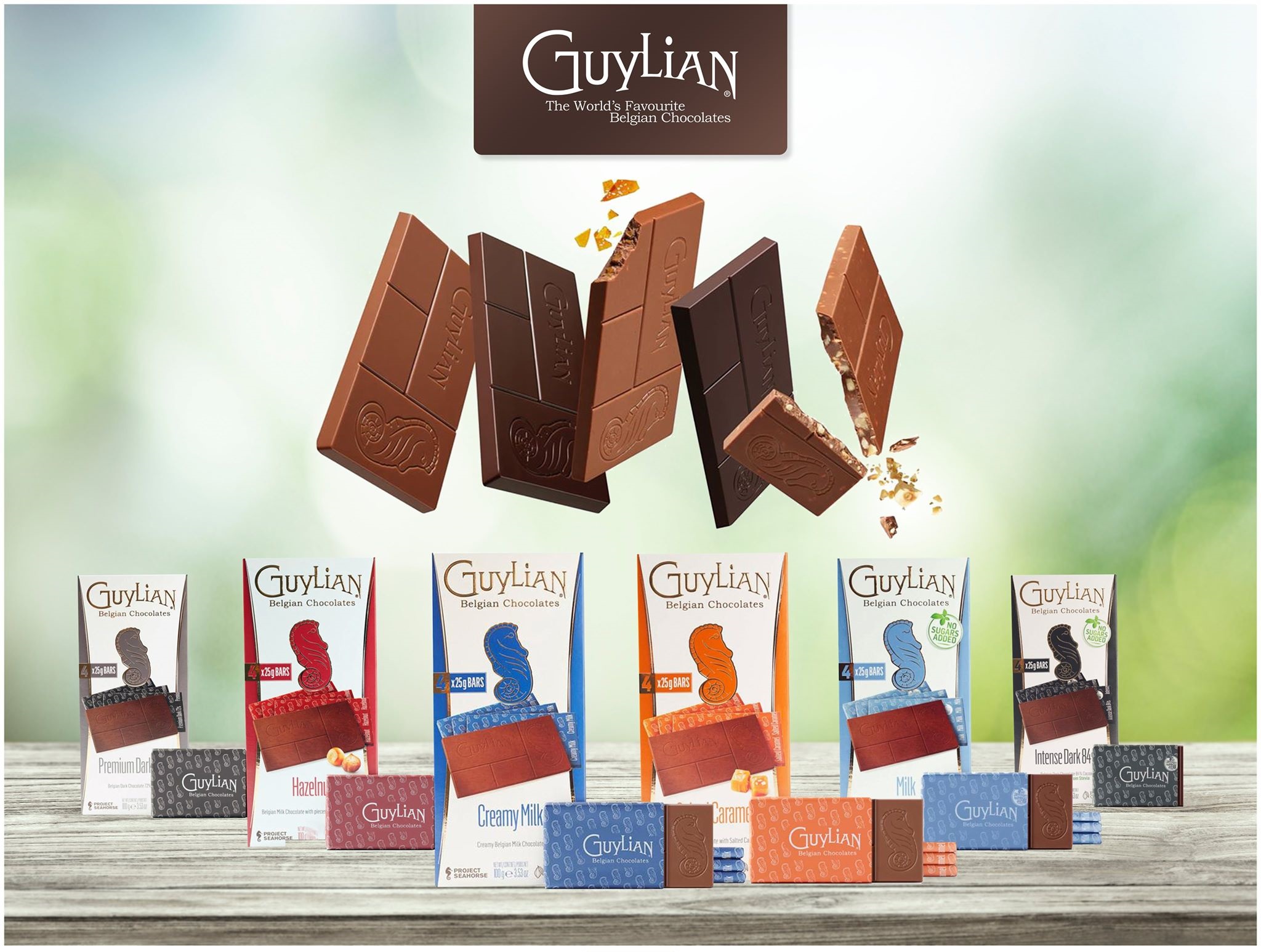 Yeni Guylian Chocolate Bars