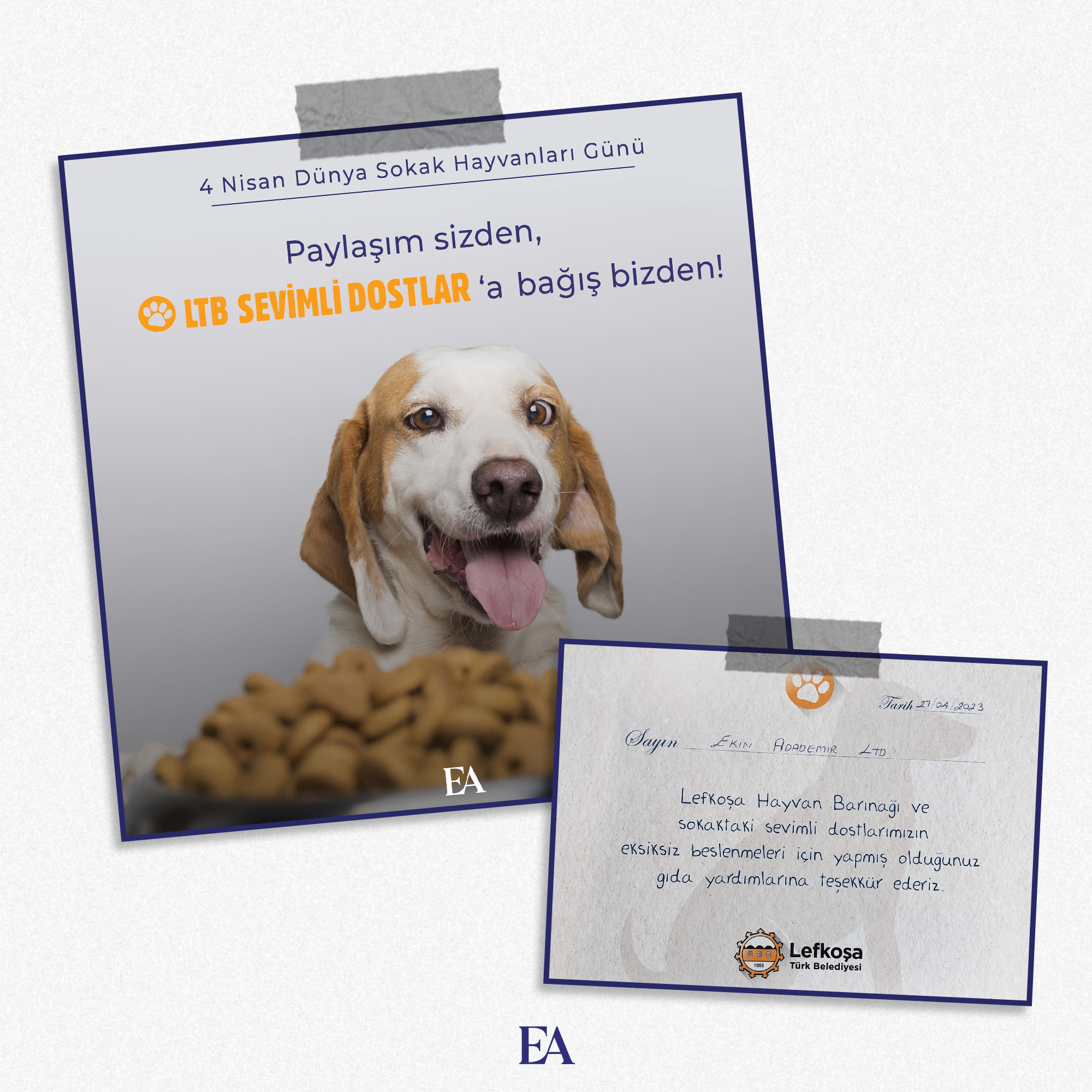Our Support Campaign for Lovely Friends image
